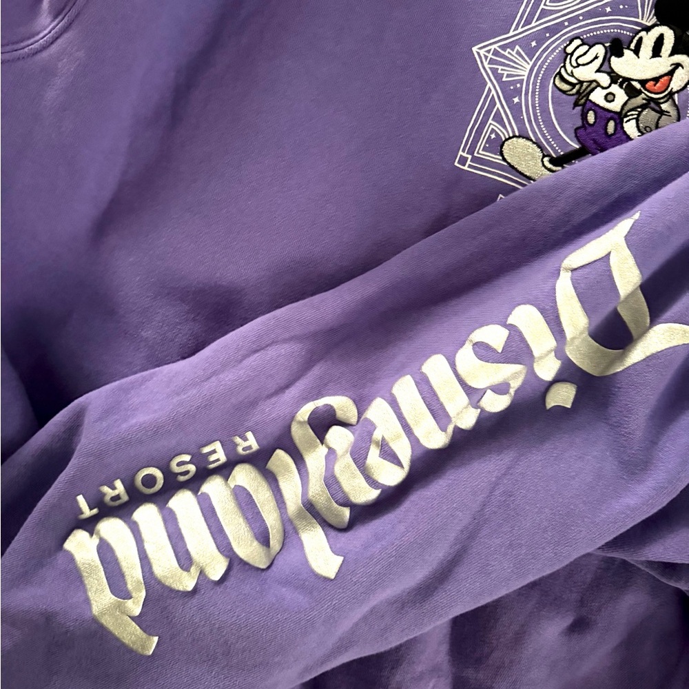 Disneyland 100th anniversary embroidered Hoodie sweatshirt - Picture 4 of 6